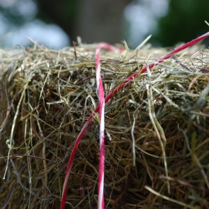 Ballot de foin de Crau AOP compacte avec ficelle rouge et blanche - Le Jardin d'Olive Orange