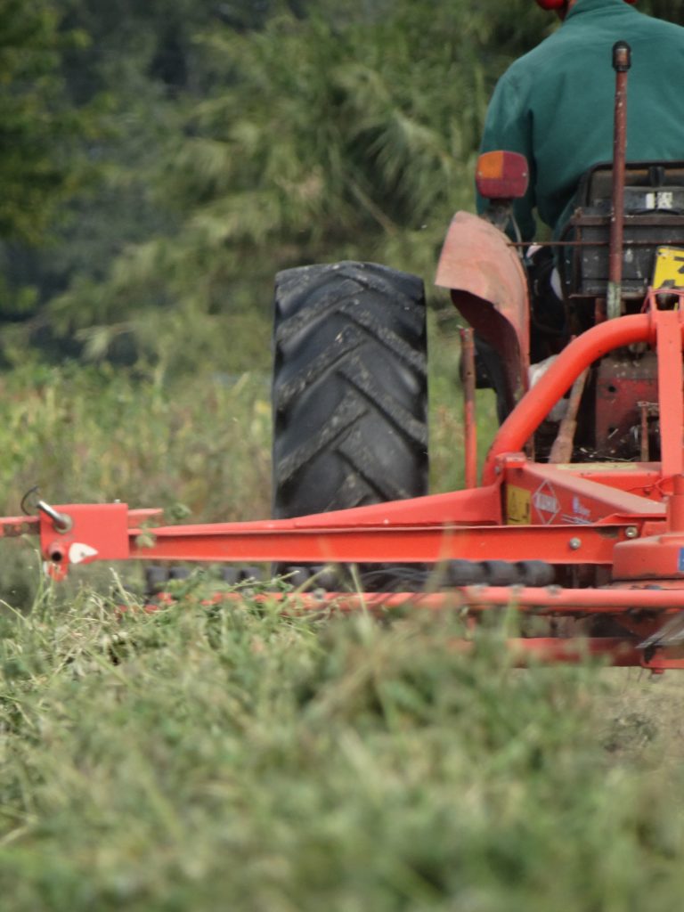 Andainnage de luzerne avec le tracteur rouge au Jardin d'Olive, exploitation agricole authentique à Caderousse.