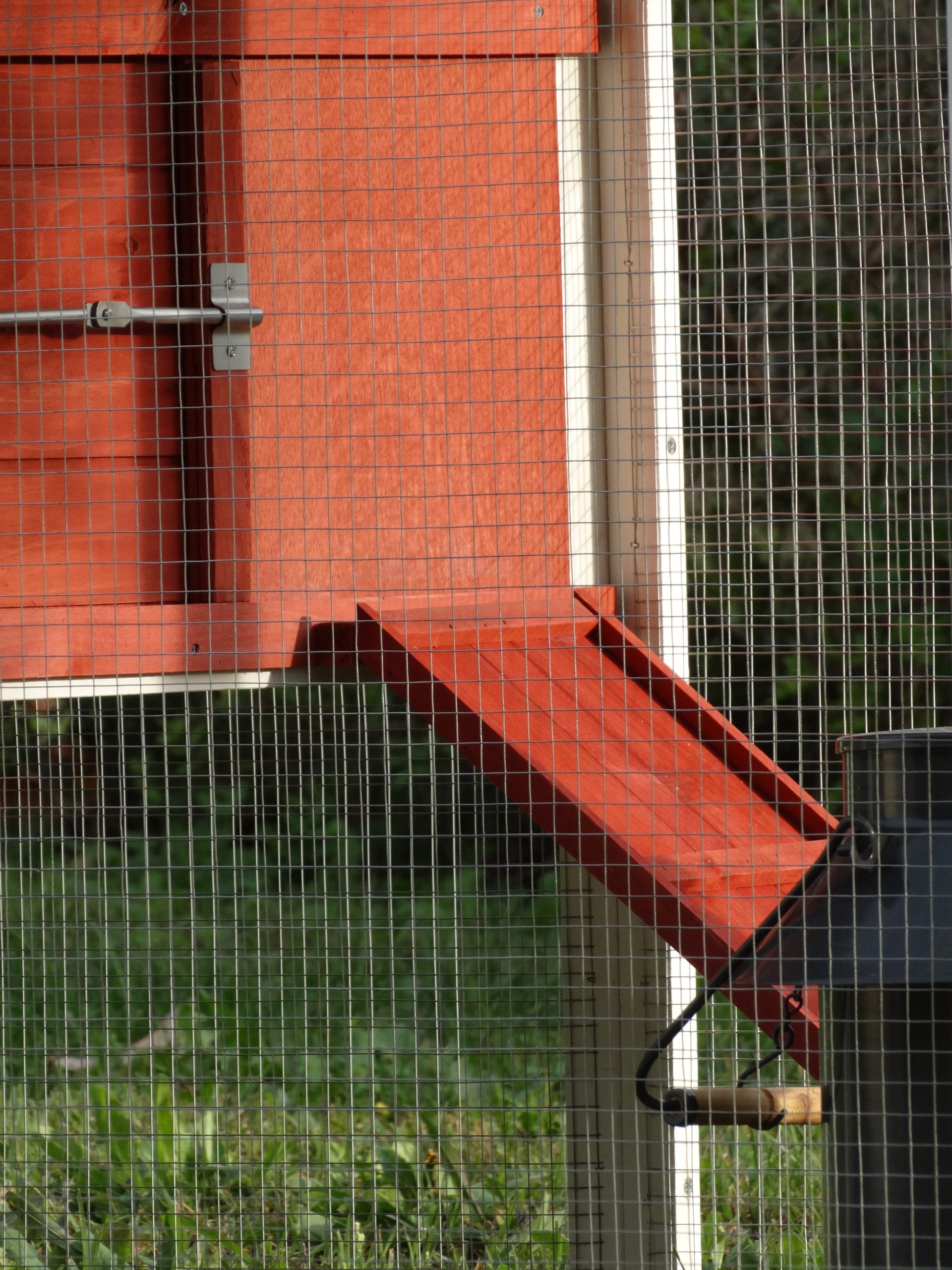 Poulailler "Budapest" – Image 3