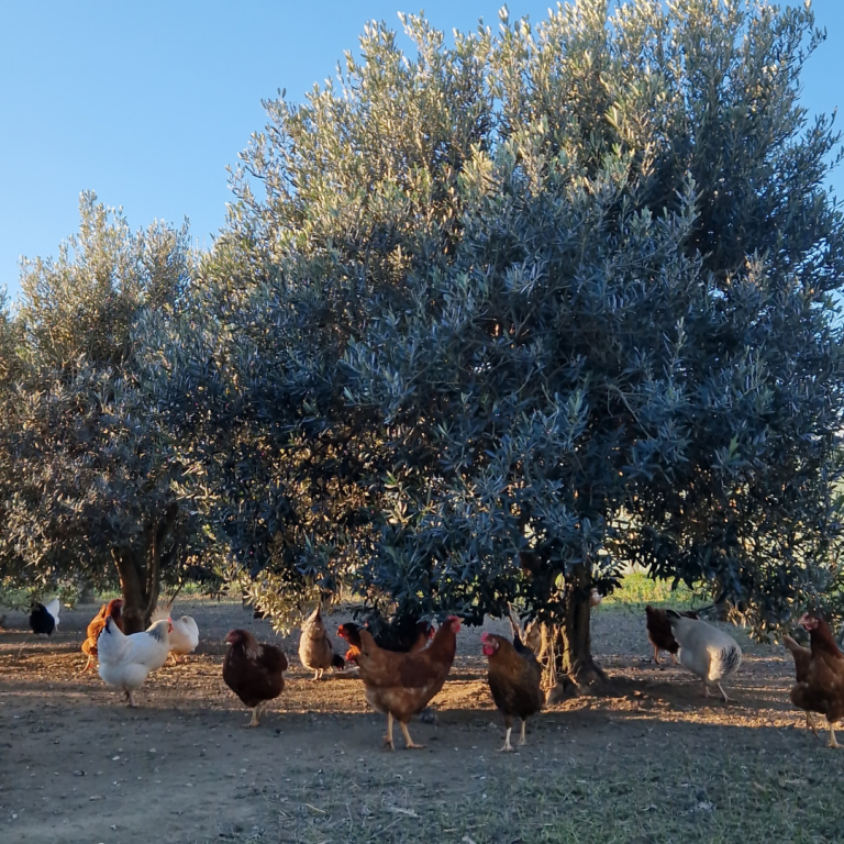 Réussir l&rsquo;adaptation