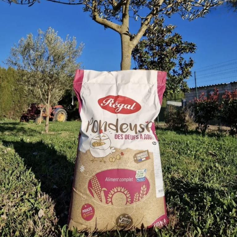 Alimentation et santé