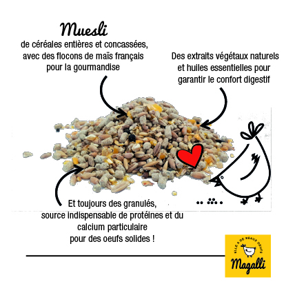 Santé + 4Kg – Image 2