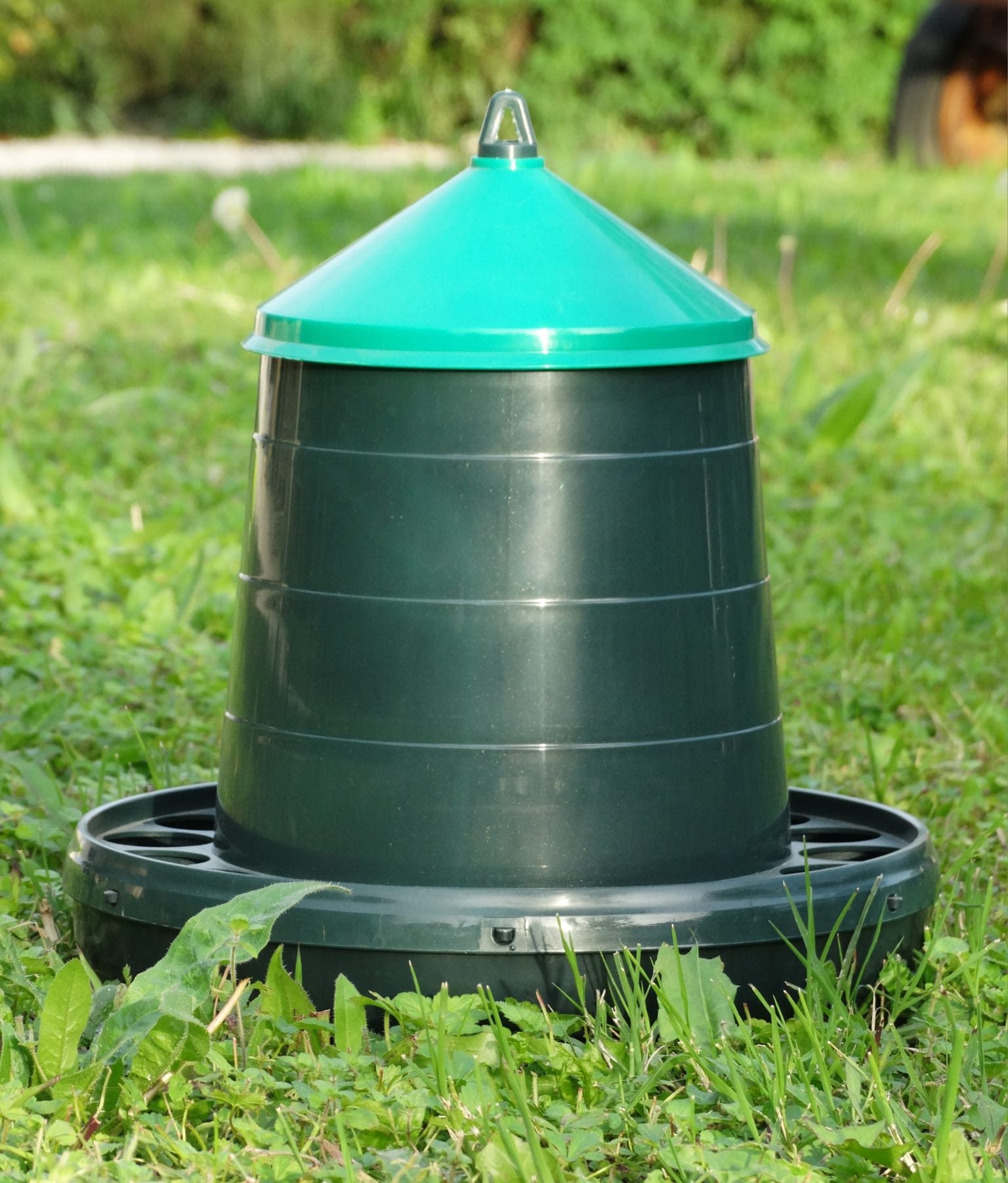 Mangeoire à trémie verte pour l'alimentation des volailles au Jardin d'Olive, matériel d'élevage robuste près d'Orange