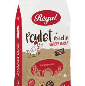 Mélange poulet/poulette - Le Jardin d'Olive